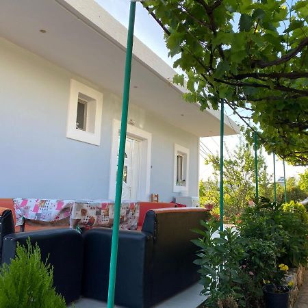 Apartment Krenar Voda Ксамил Екстериор снимка